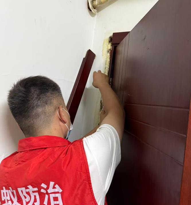 单位门框白蚁防治